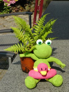 Kikker in het groen.