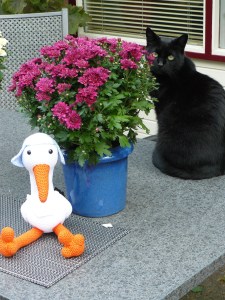 Ooievaar met blauwe muts