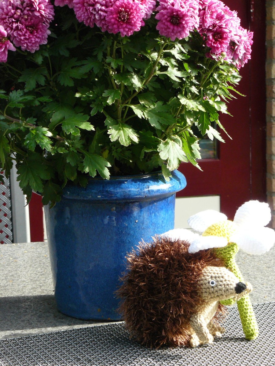 De wensenlijst van Sophia was inclusief deze lieve egel die schuilt onder een margriet. De bloem kan los van de egel