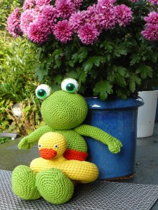 Kikker met gele zwemband