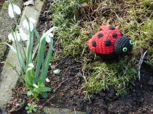 Insecten zijn niet eng