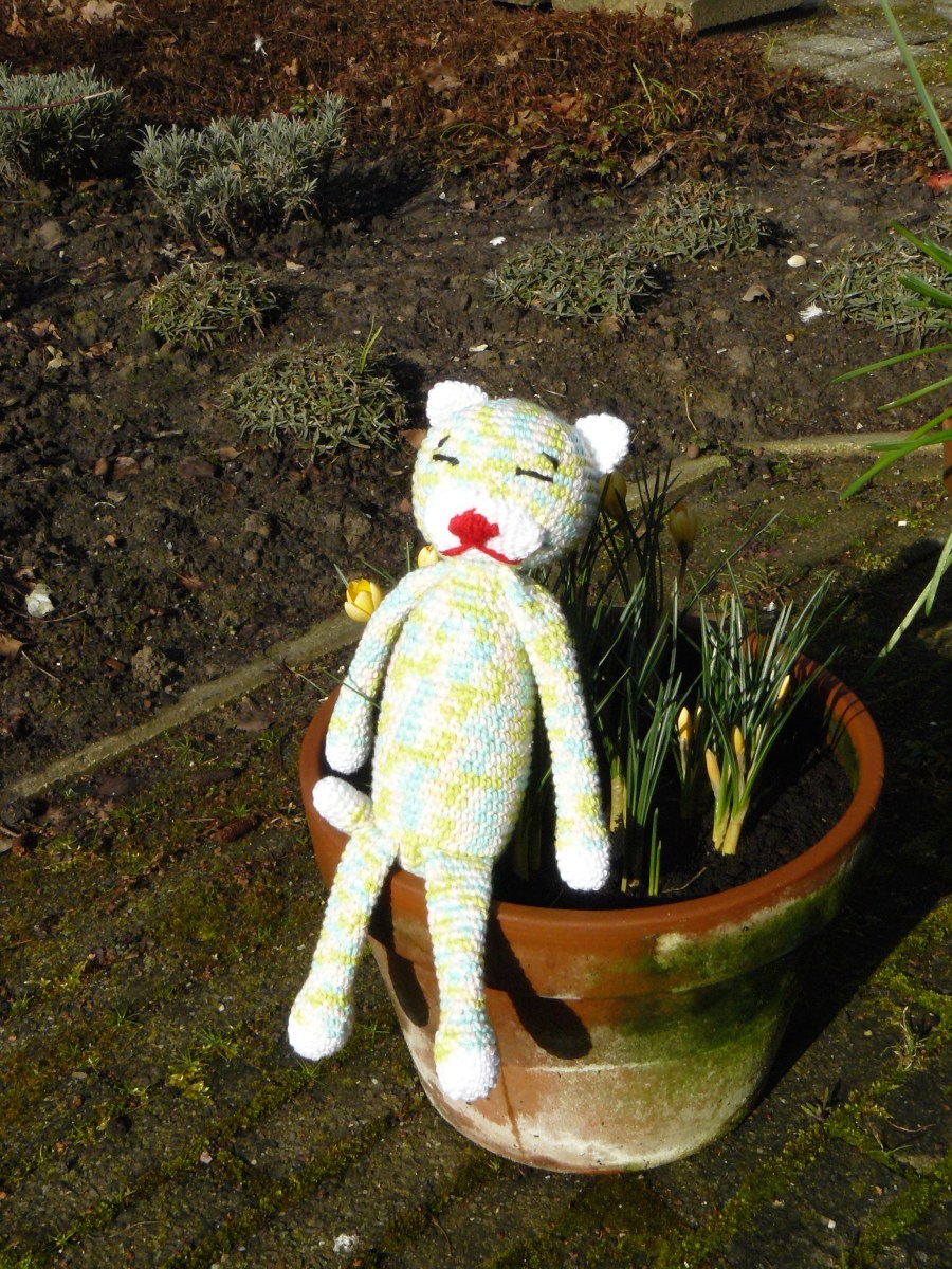 Leuk katje en gemakkelijk mee te nemen