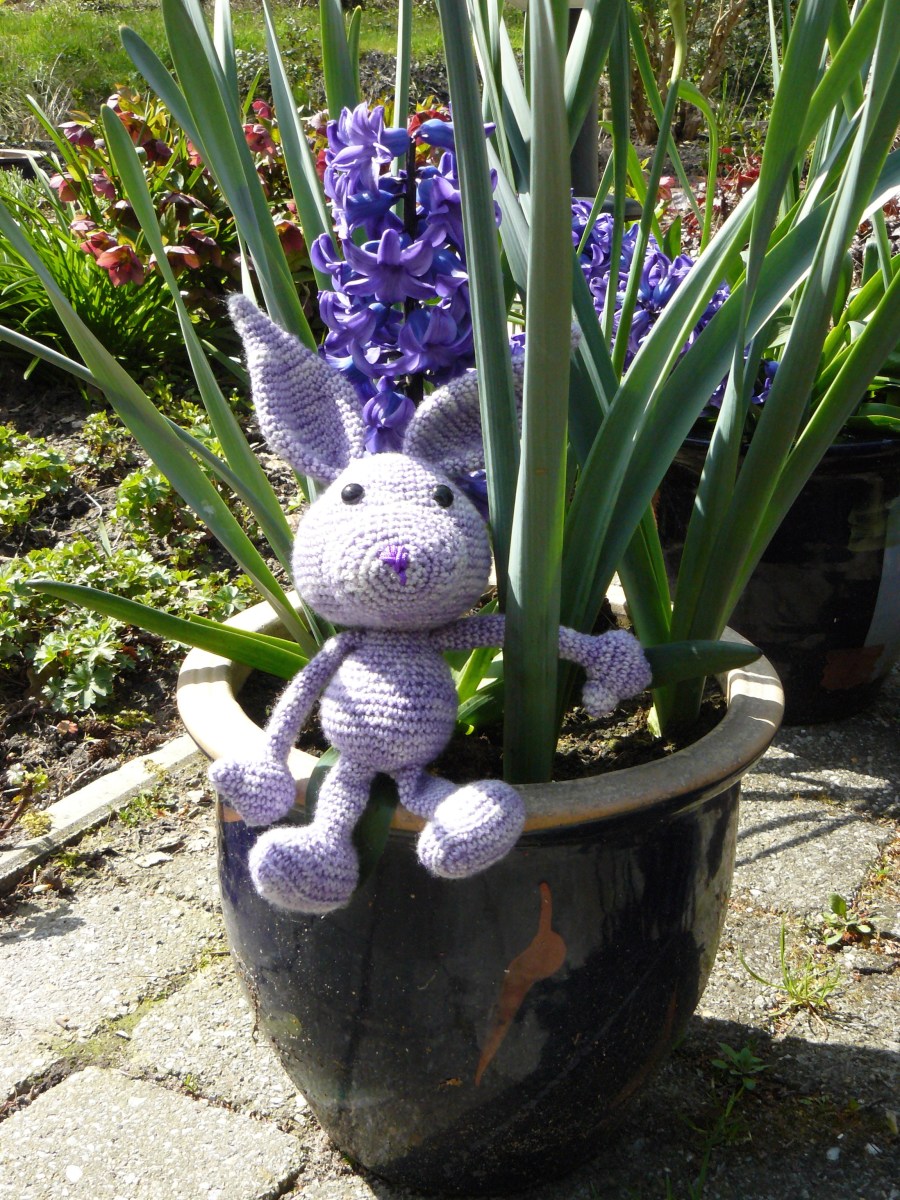 Goede schutkleur voor ons konijntje