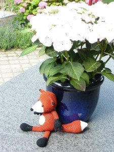 Lief beestje met een mooie grote staart