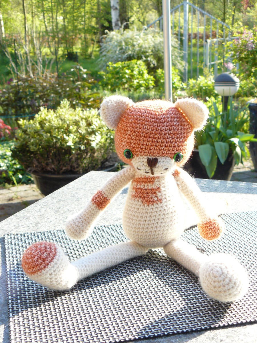 een leuk katje met lange poten